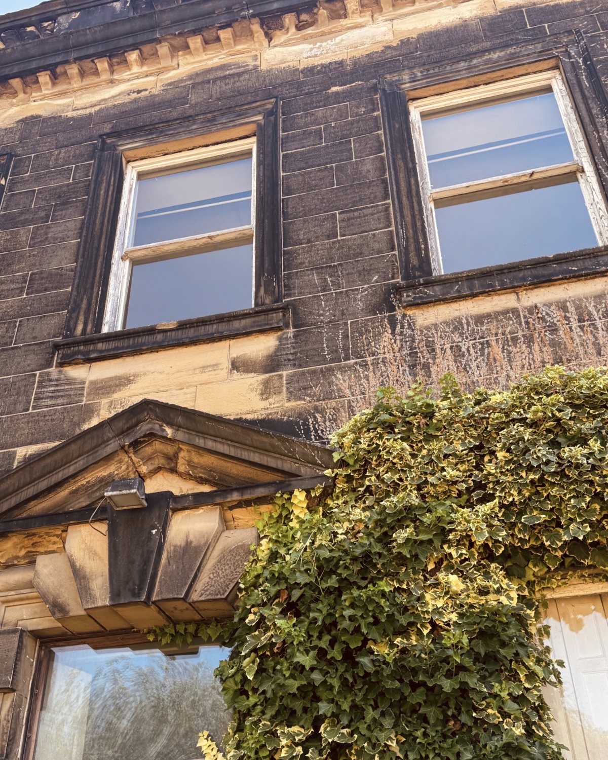 Ivy climbing a soot-blackened stone front beneath two sash windows.